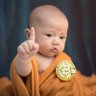 Фото профиля Nakamotwo Satoshi (BIP110)