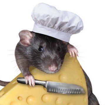 RattyCheeze's profile picture