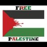 || (اَلسیَّد) Hashem || 🇵🇰 的头像