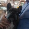 Pablo Graziemusk's profile picture