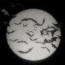 Profilbild von S̷͎͙̙̥̞̥̣̈́̆͌͋͋̉̃̋̽͘ ̶̡̢̡̤̭̯̖̖͂͗͌ͅͅK̵͑́