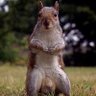 NawtyBoy's profile picture