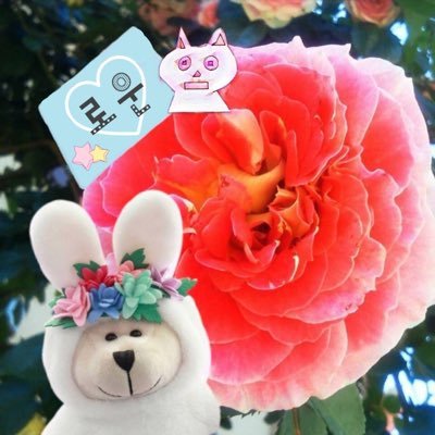 みお𖧷's profile picture