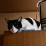 梓川 profil fotoğrafı