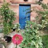 Фото профиля terejujuy