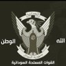Tarig Ahmed's profile picture