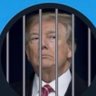 The Village Idiot's profile picture