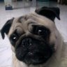 🤍💛🧡❤️💖💜💚🩵💙 profil fotoğrafı