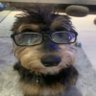 Atroz's profile picture