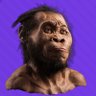 Profilbild von Neo