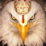 Garuda's profile picture