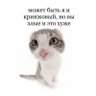еба.бина 的头像