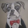 Profilbild von CEL draws