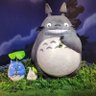 HOPE's profile picture