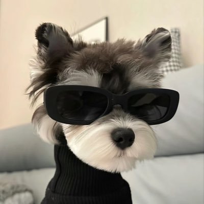 冲狗小霸王's profile picture