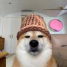 Profilbild von ryvn