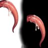 Slimy_Tentacles_ 的头像