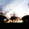 Фото профиля Yrret El