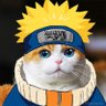 Cataruto Uzumeowki 的头像