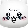 君の絶対領域's profile picture