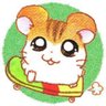 칠오's profile picture