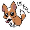 もっちりほたて's profile picture