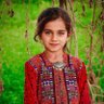 Shahid Dawar's profile picture