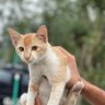 Фото профиля Rick1075🇵🇸