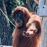 孤星照明月 的头像