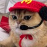 Profilbild von McCAT