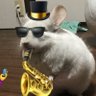 ããã¡ãã ç倎å