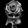 DLinh66 profil fotoğrafı