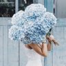 Hydrangea_980 profil fotoğrafı
