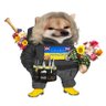 salfo fellarina ๐ฌ๐ง๐บ๐ฆ๐ฌ๐ช๐บ's profile picture