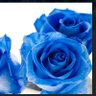 candy49's profile picture