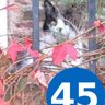 Gil-Martin profil fotoğrafı
