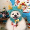 シェリ🐾 profil fotoğrafı