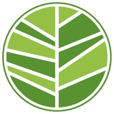 Fundación Reforestemos's profile picture