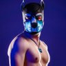 Фото профиля Pup Lépo 🌈🩲🐶