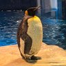 ふゆまる profil fotoğrafı