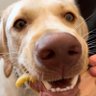 jake profil fotoğrafı