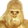 ロッタン profil fotoğrafı