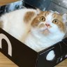 そっそ 的头像