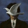 v60's profile picture