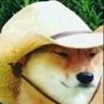 Profilbild von What in Tarnation? ๐ซต๐ค