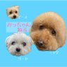 みっちゃんねる profil fotoğrafı