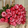 فـضـيـله♡ 的头像
