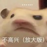 Liar's profile picture