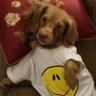 Annette's profile picture