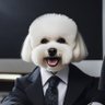 olewka's profile picture